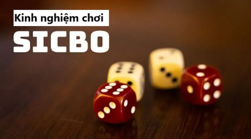 Chiến thuật đặt cược đỉnh cao, dành riêng cho Sicbo 789 club